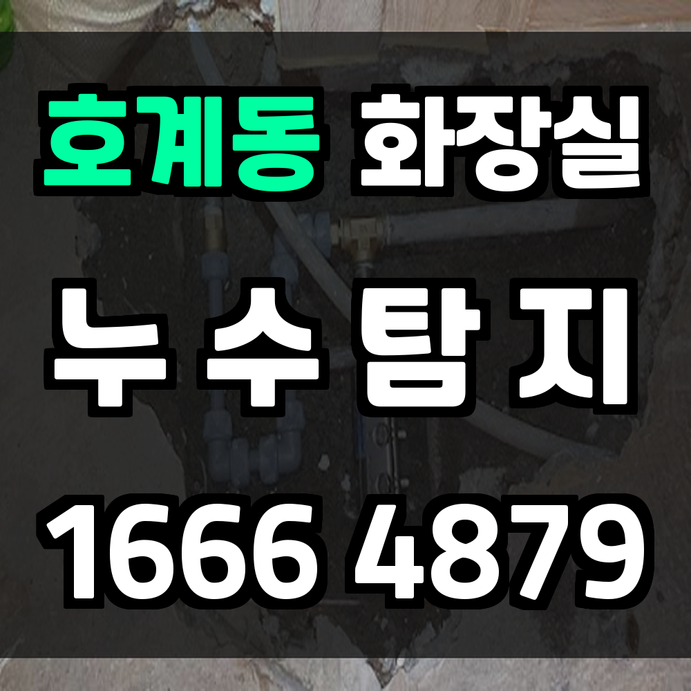 호계동 화장실 누수탐지 놓치지 않는 정밀 진단 서비스