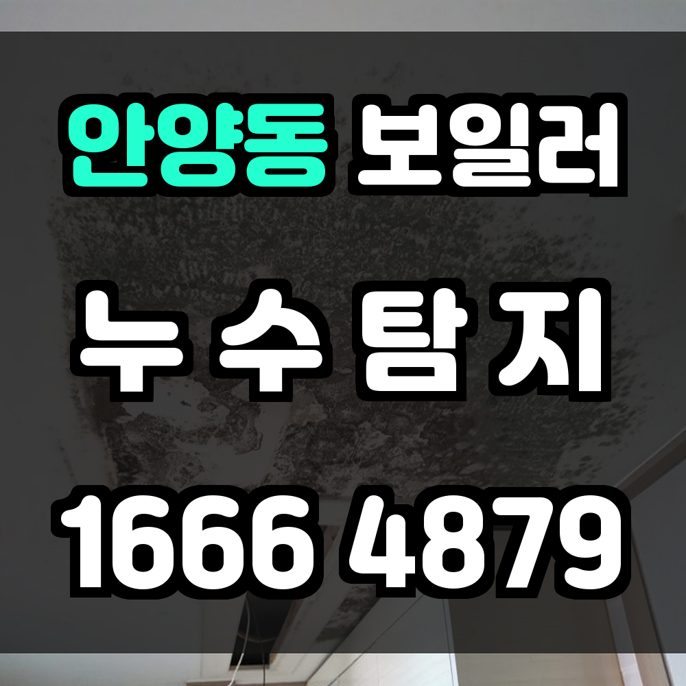 안양동 보일러 누수탐지 정밀 진단으로 피해를 사전에 막아드립니다