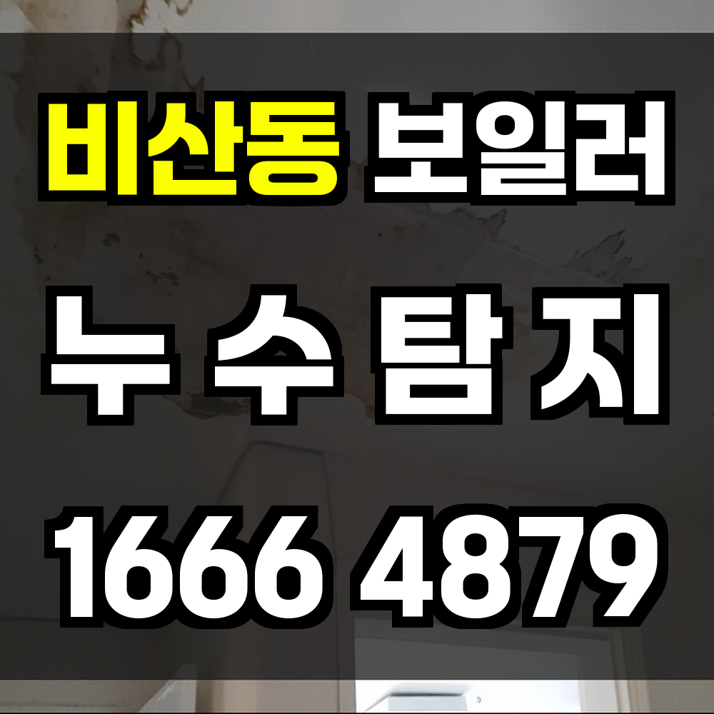 비산동 보일러 누수탐지 전문가의 빠르고 정확한 진단
