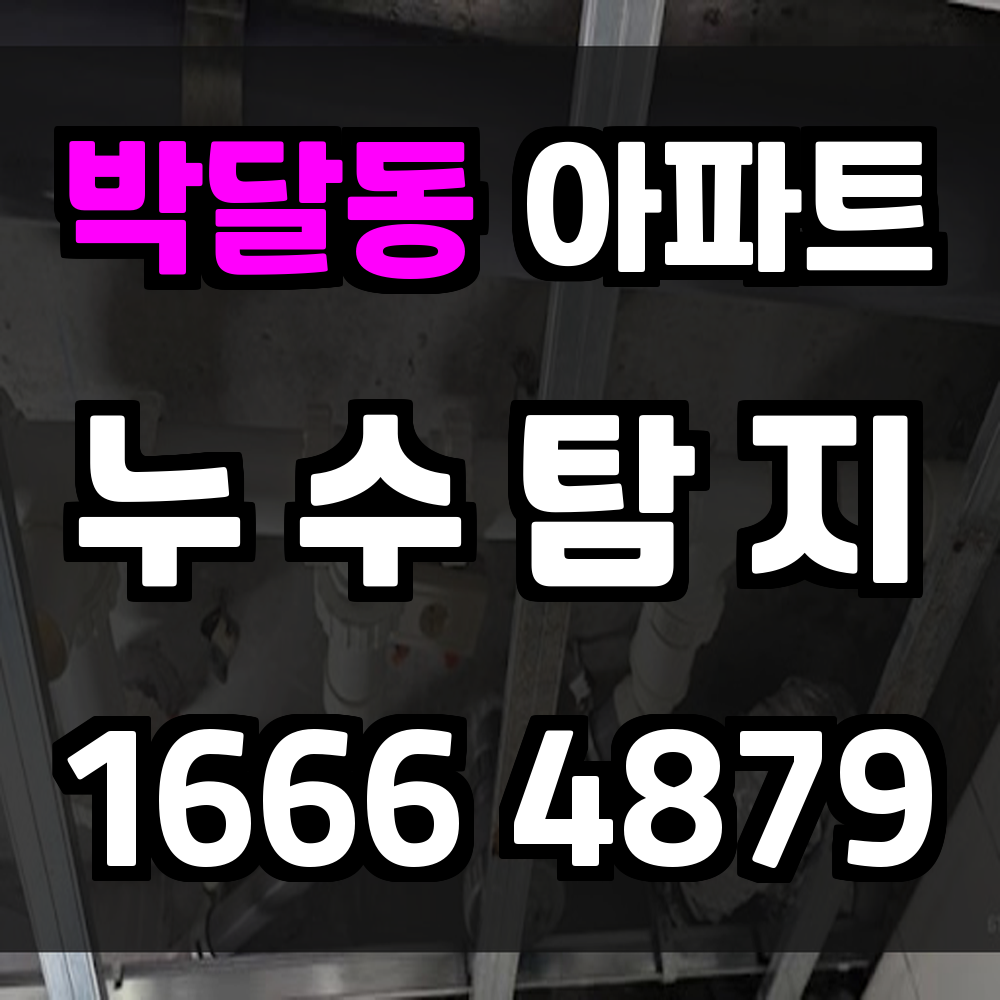 박달동 아파트 누수탐지 정확한 진단으로 쾌적한 생활 유지