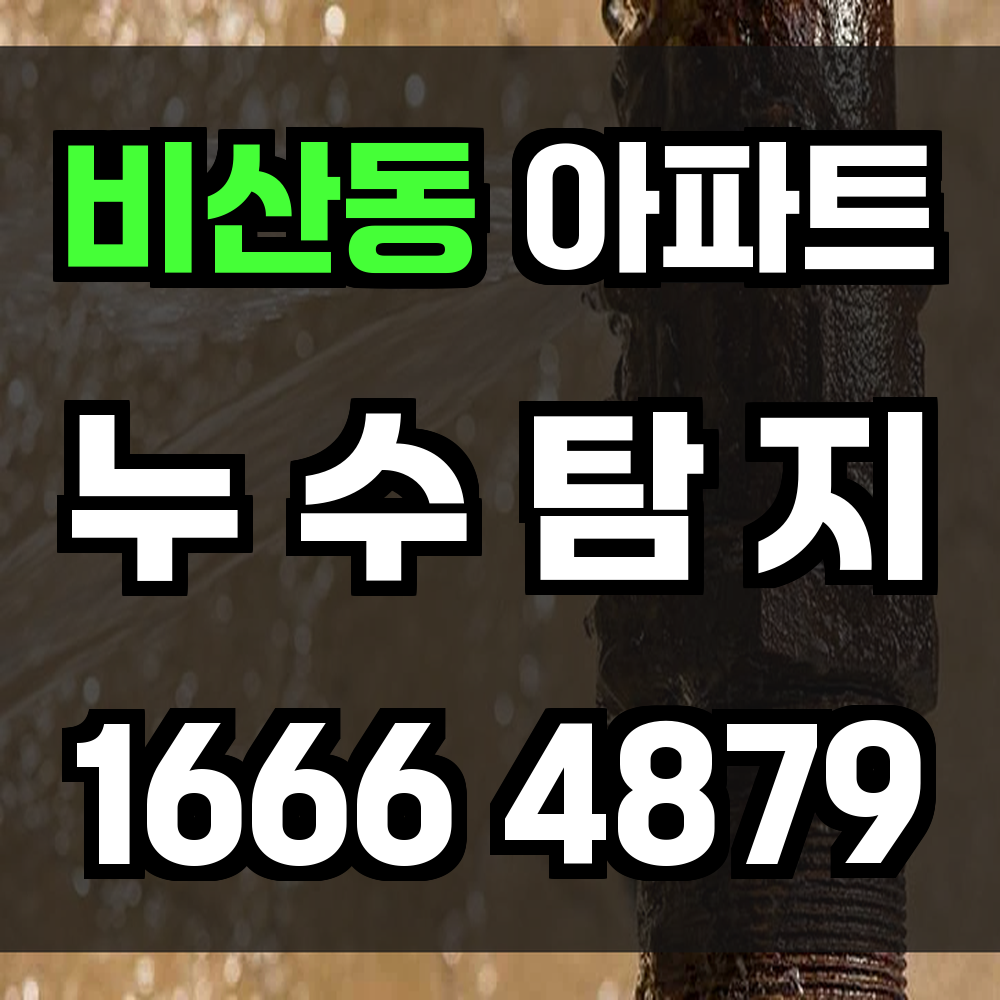비산동 아파트 누수탐지 작은 습기도 놓치지 않습니다