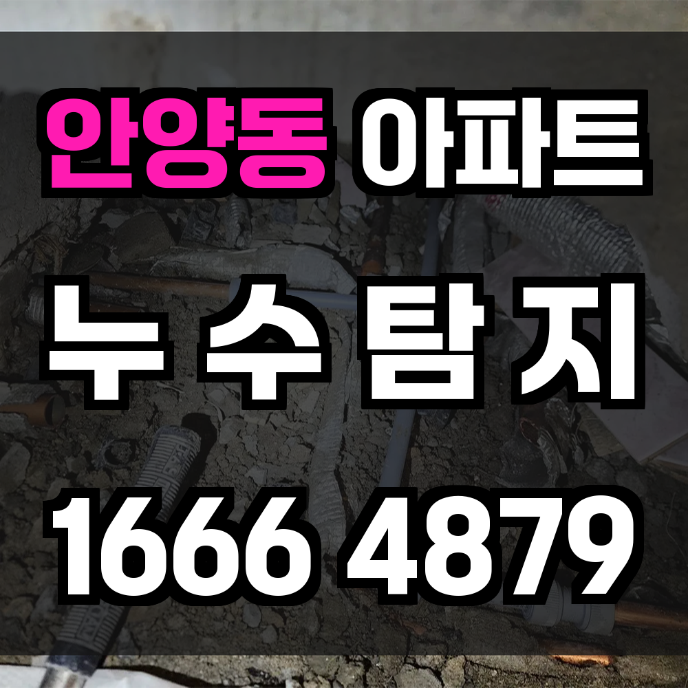 안양동 아파트 누수탐지 정확한 진단으로 불필요한 수리 없이 해결하세요