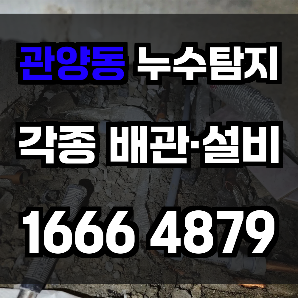 관양동 누수탐지 눈에 보이지 않는 누수도 빠르게 진단