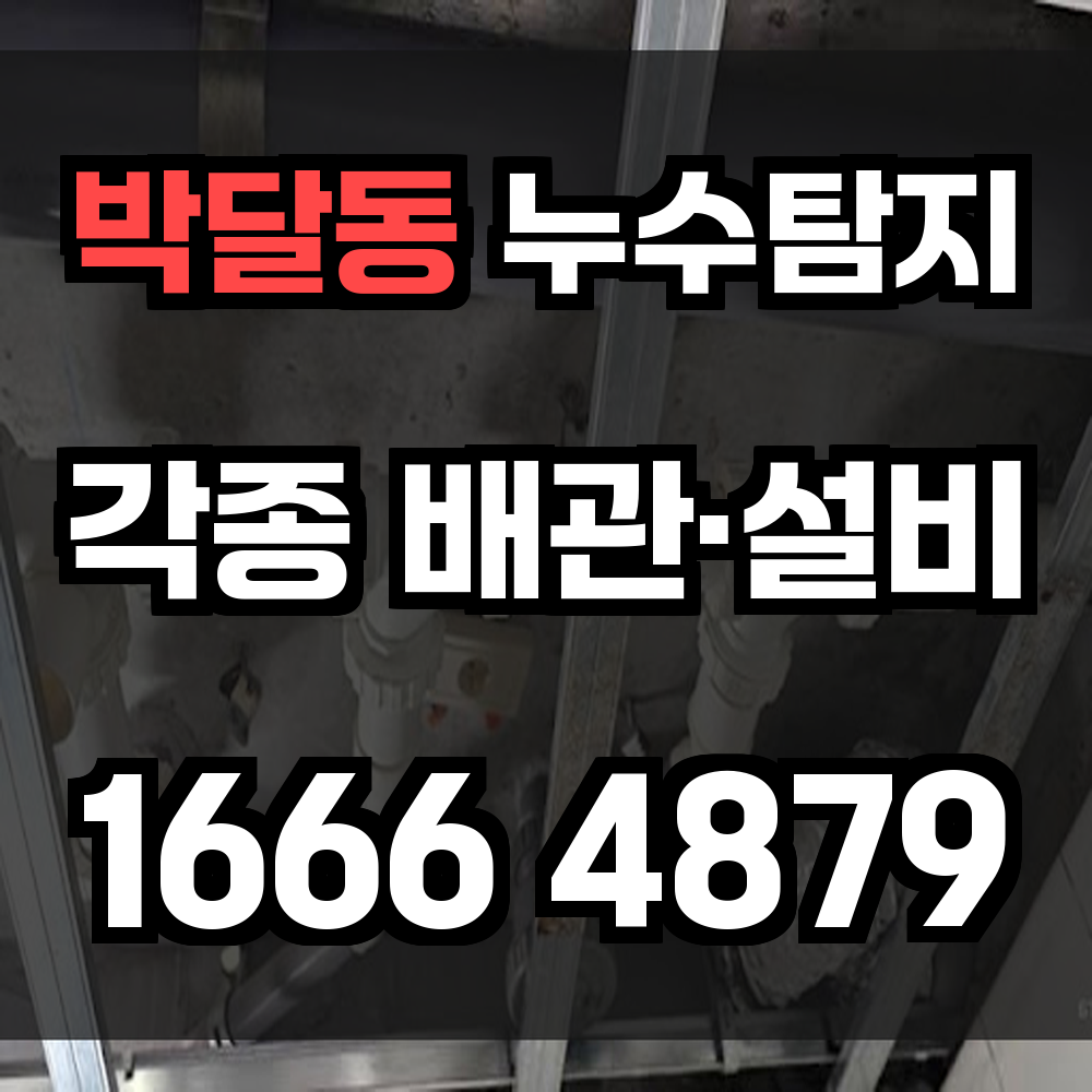 박달동 누수탐지 눈에 안 보이는 누수도 놓치지 않습니다
