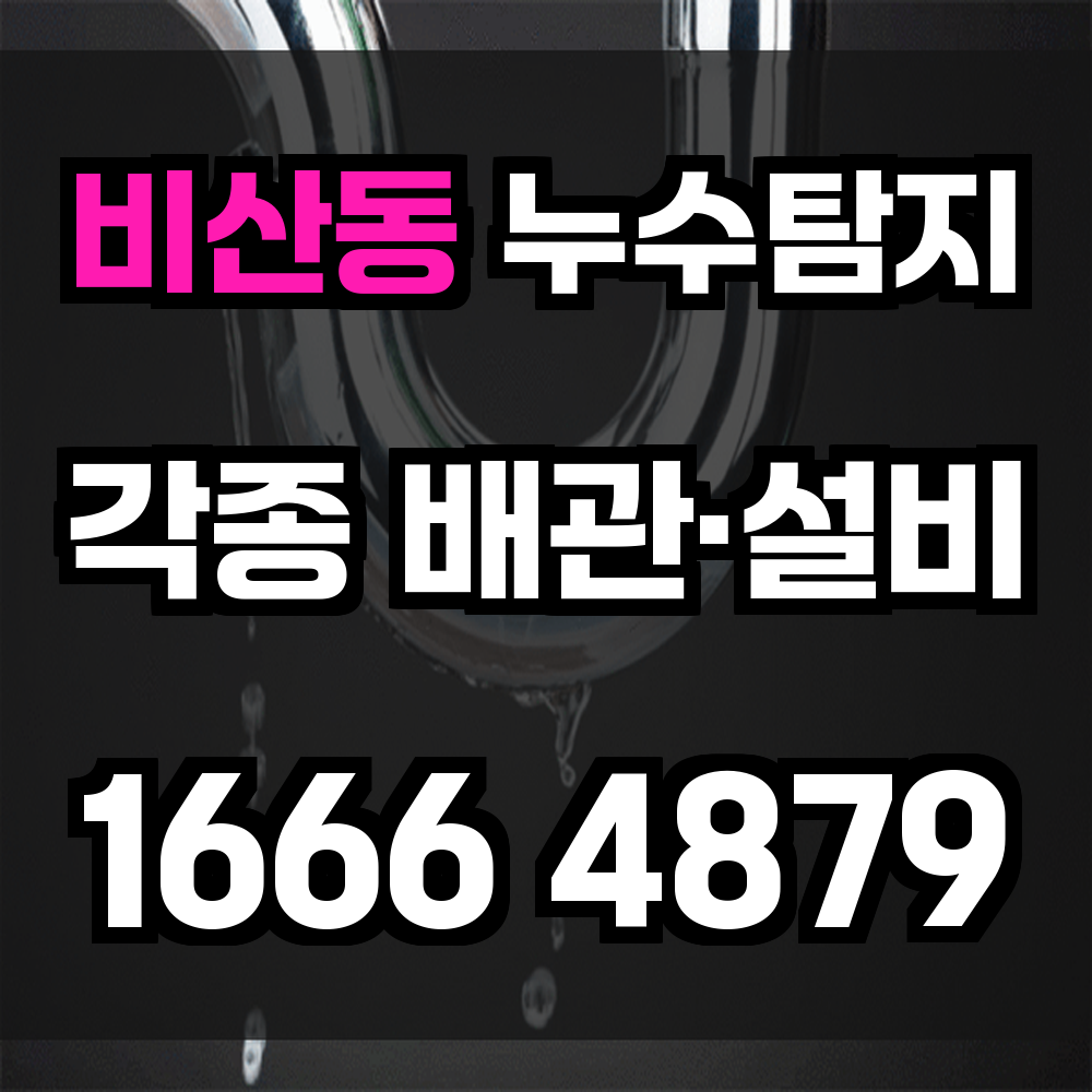 비산동 누수탐지 빠르고 정확한 진단으로 피해 예방