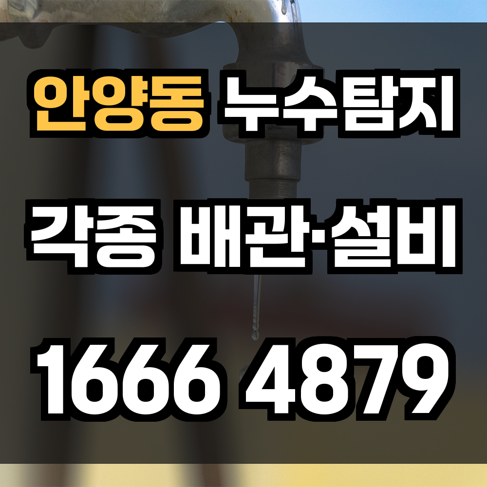 안양동 누수탐지 오래된 건물일수록 정밀 진단이 중요합니다