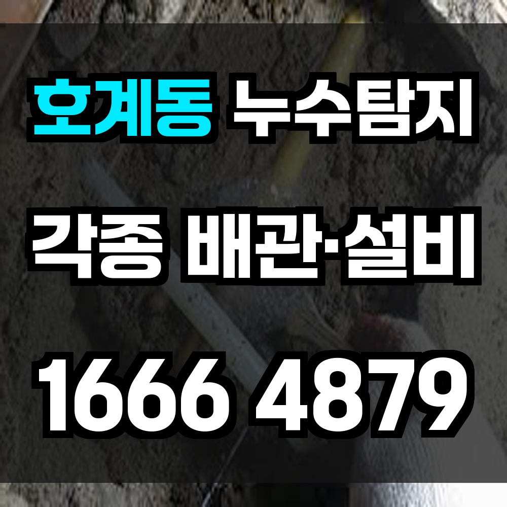 호계동 누수탐지 누수의 시작부터 확실하게 잡아드립니다