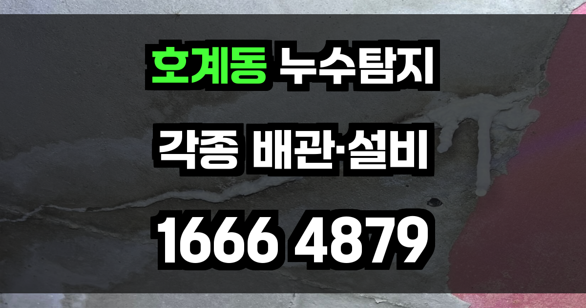 호계동 누수탐지