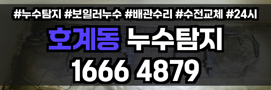 호계동 누수탐지