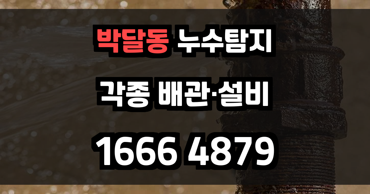 박달동 누수탐지