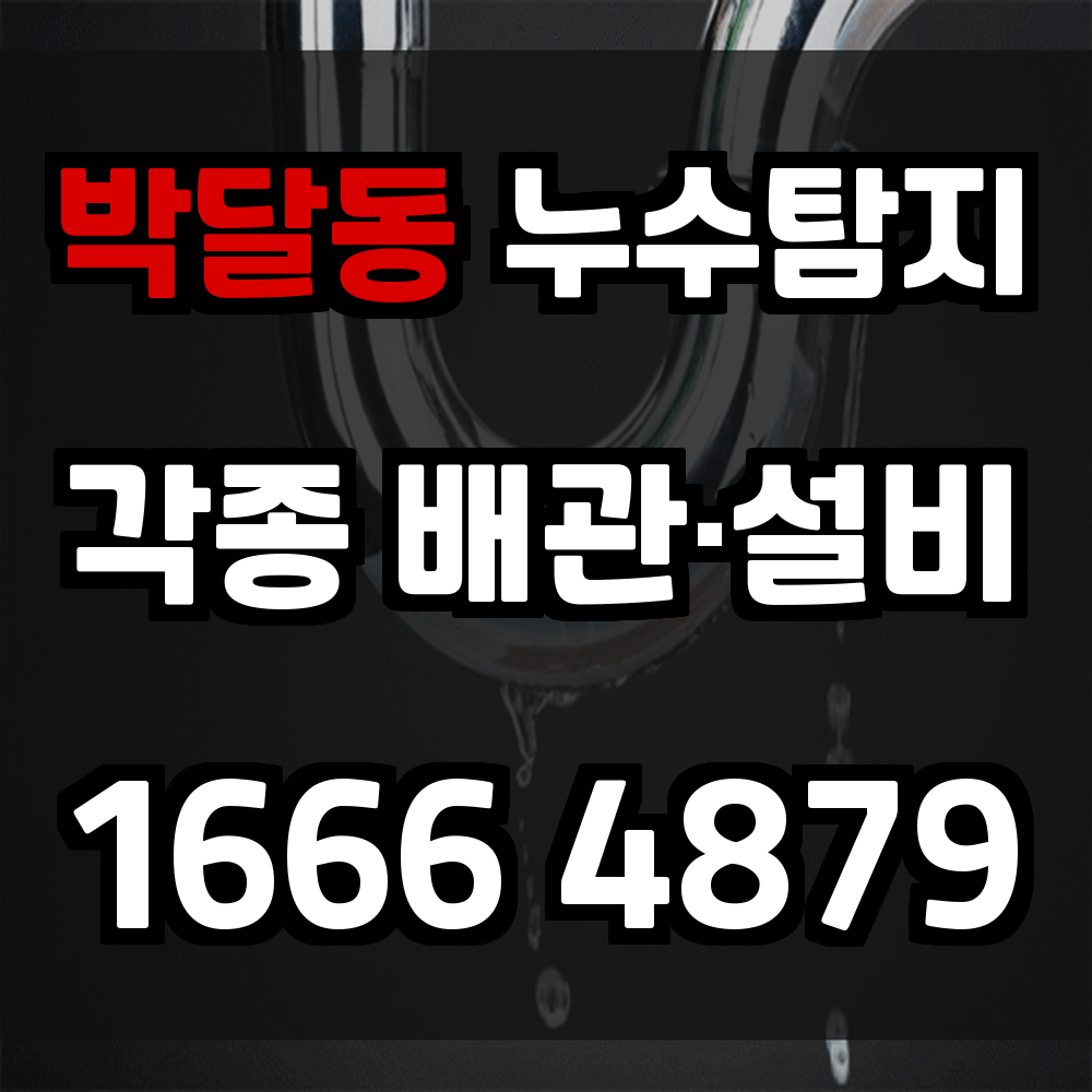 박달동 누수탐지