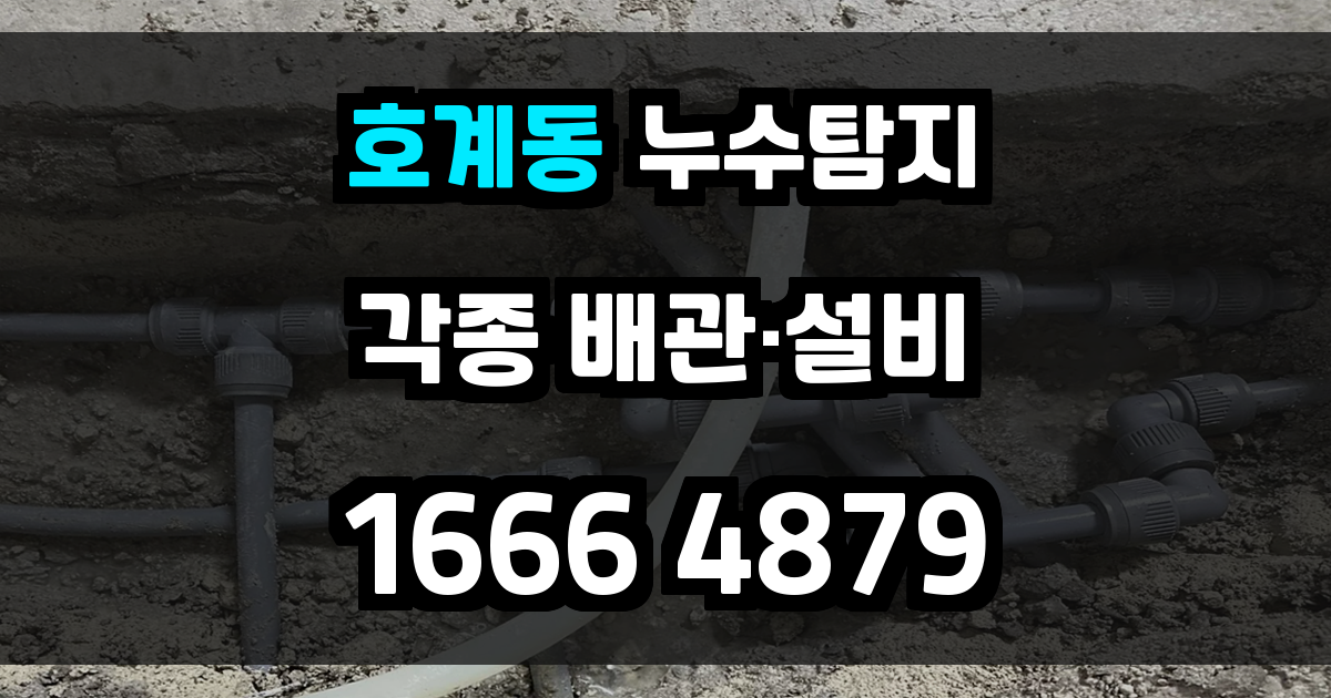 호계동 누수탐지