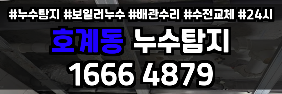 호계동 누수탐지