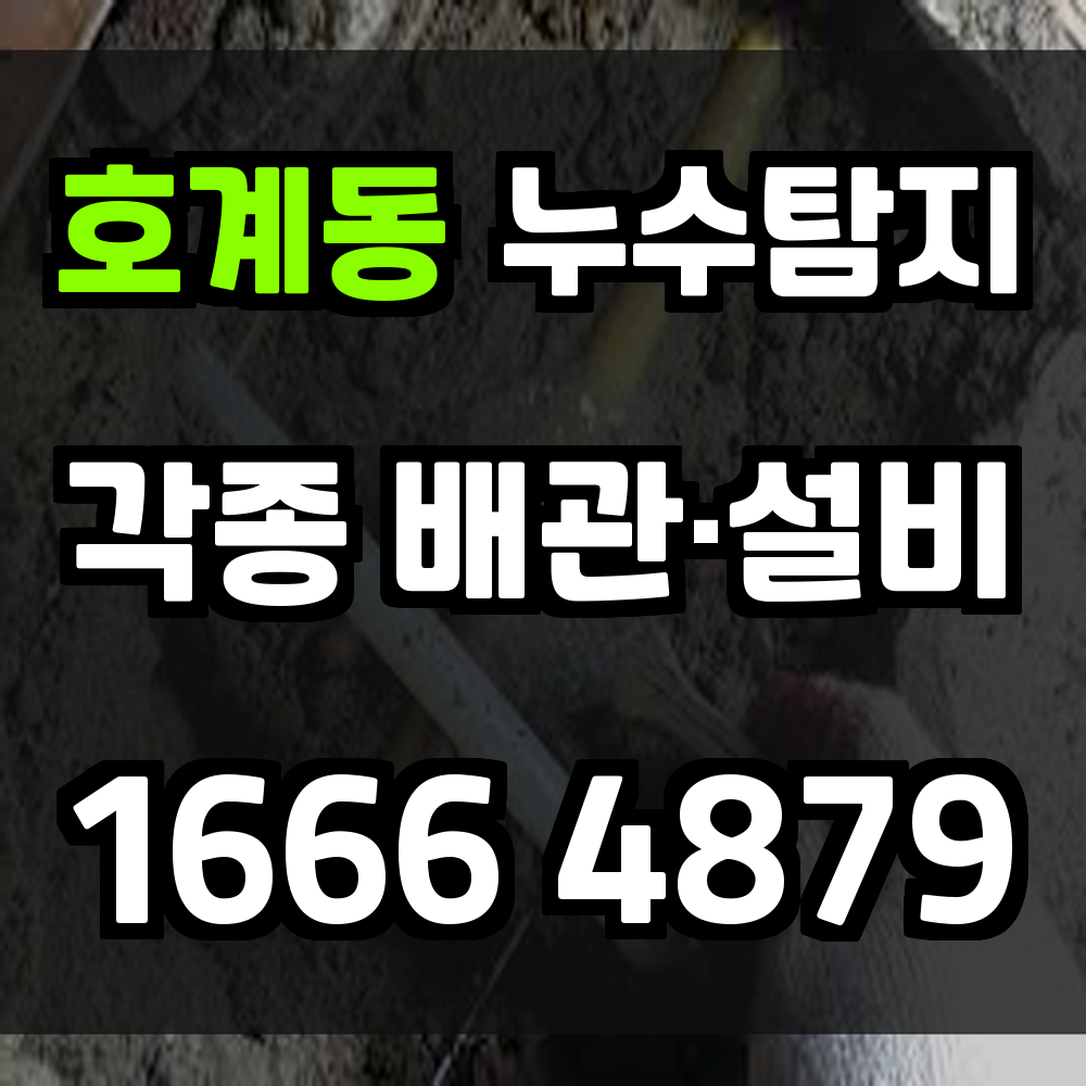 호계동 누수탐지 다양한 건물 유형에 맞춤 대응