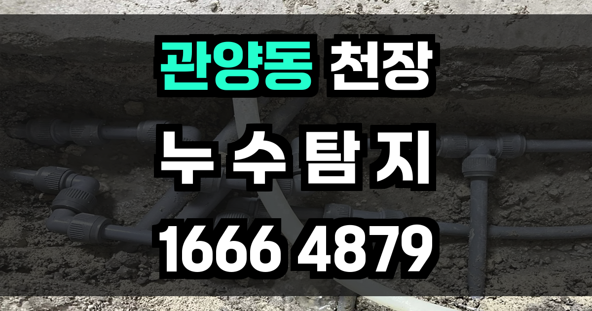 관양동 천장 누수