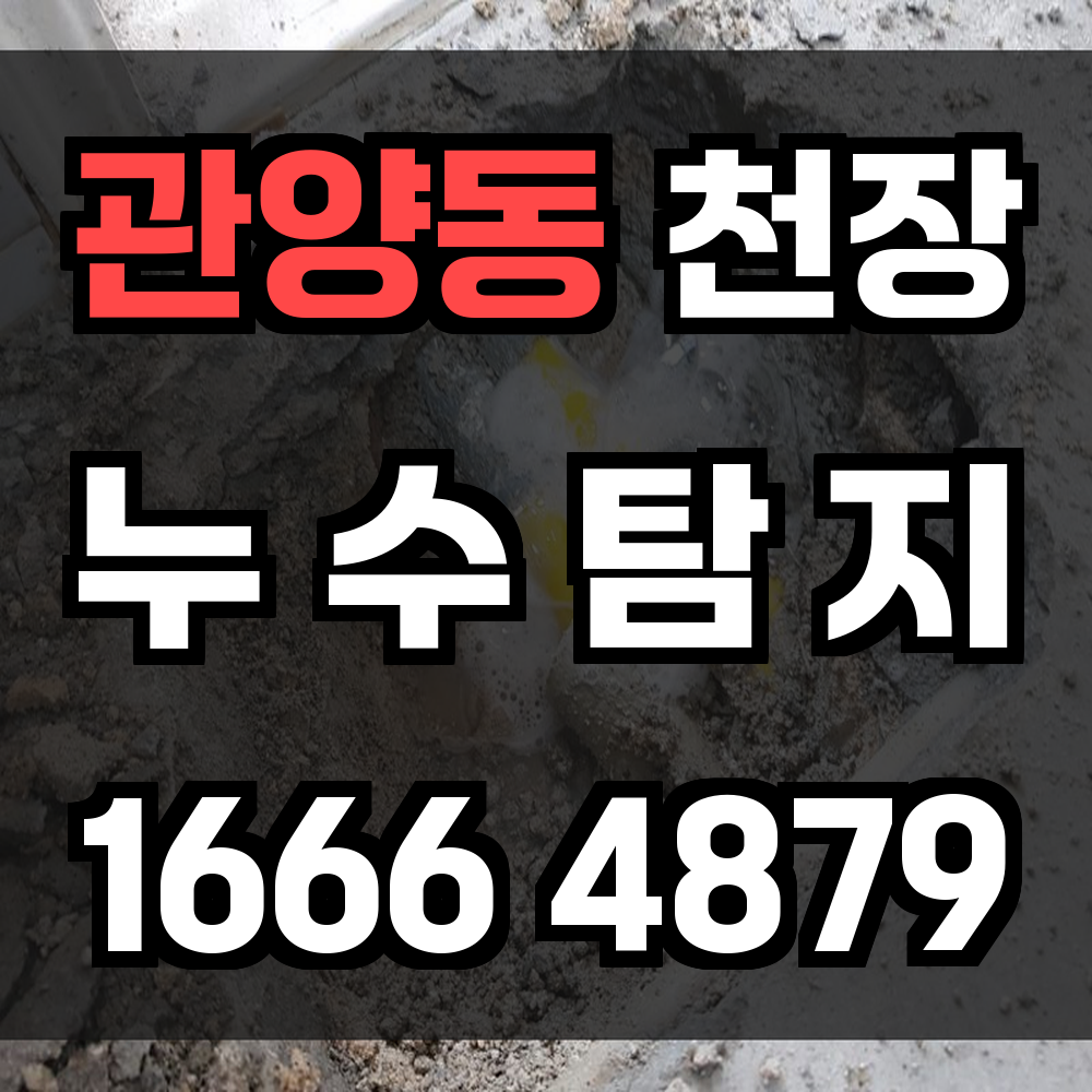 관양동 천장 누수탐지 실내 안전을 위한 빠르고 정밀한 진단