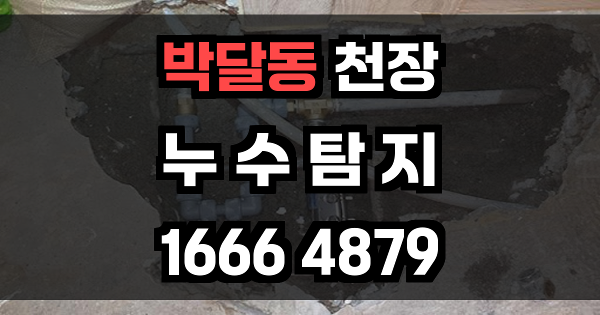 박달동 천장 누수