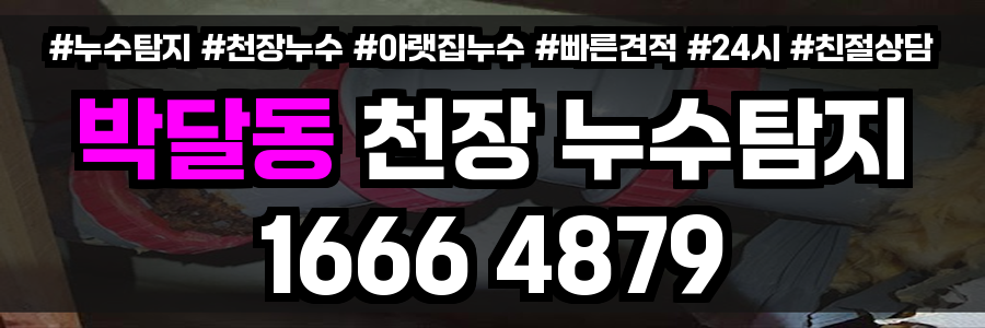 박달동 천장 누수