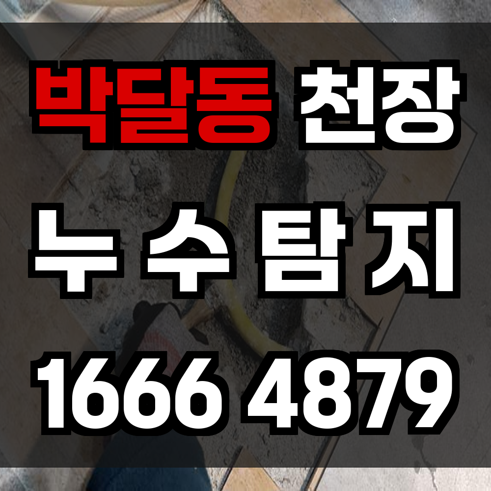 박달동 천장 누수탐지 놓치기 쉬운 천장 속 누수 완벽 탐지