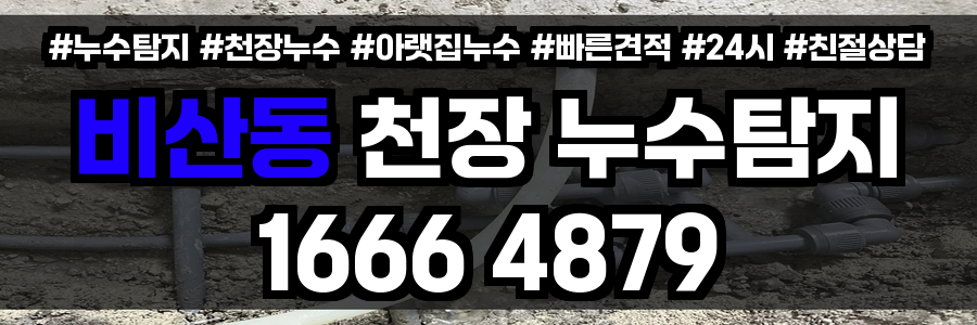 비산동 천장 누수