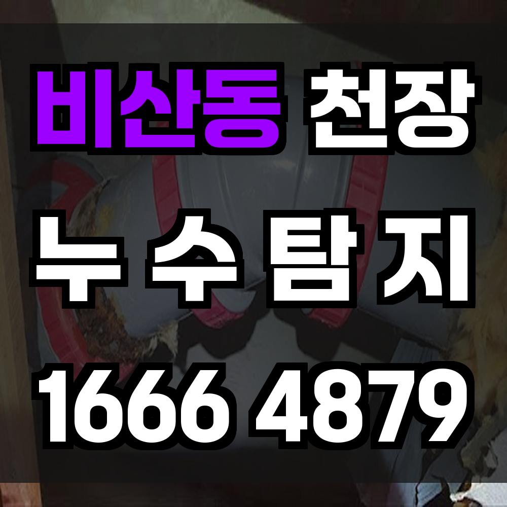 비산동 천장 누수탐지 구조 손상 없이 빠르고 정밀하게 진단합니다