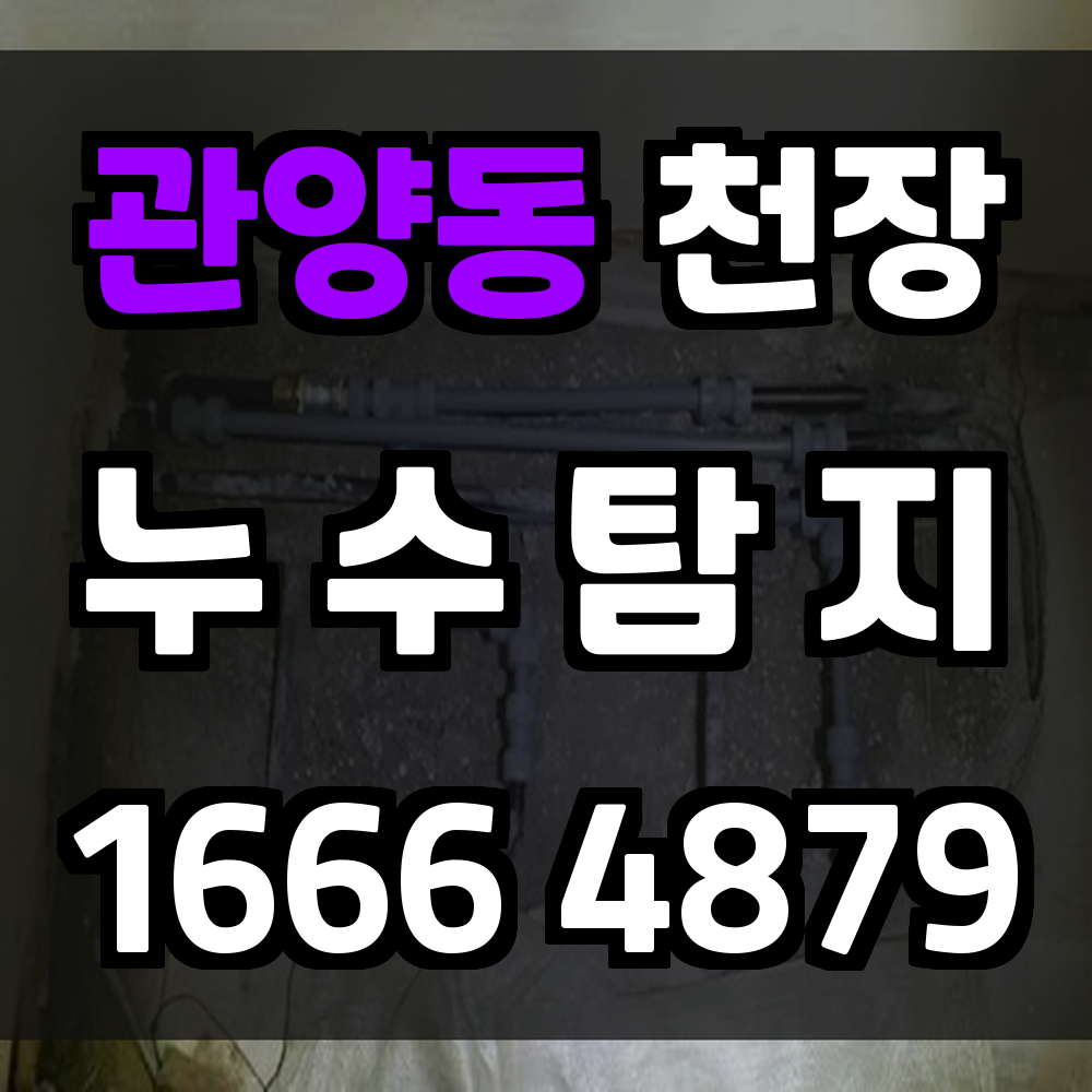 관양동 천장 누수탐지 정밀 진단과 최소 개구 복구