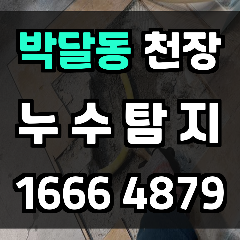 박달동 천장 누수탐지 열화상 진단과 최소 개구 복구 안내