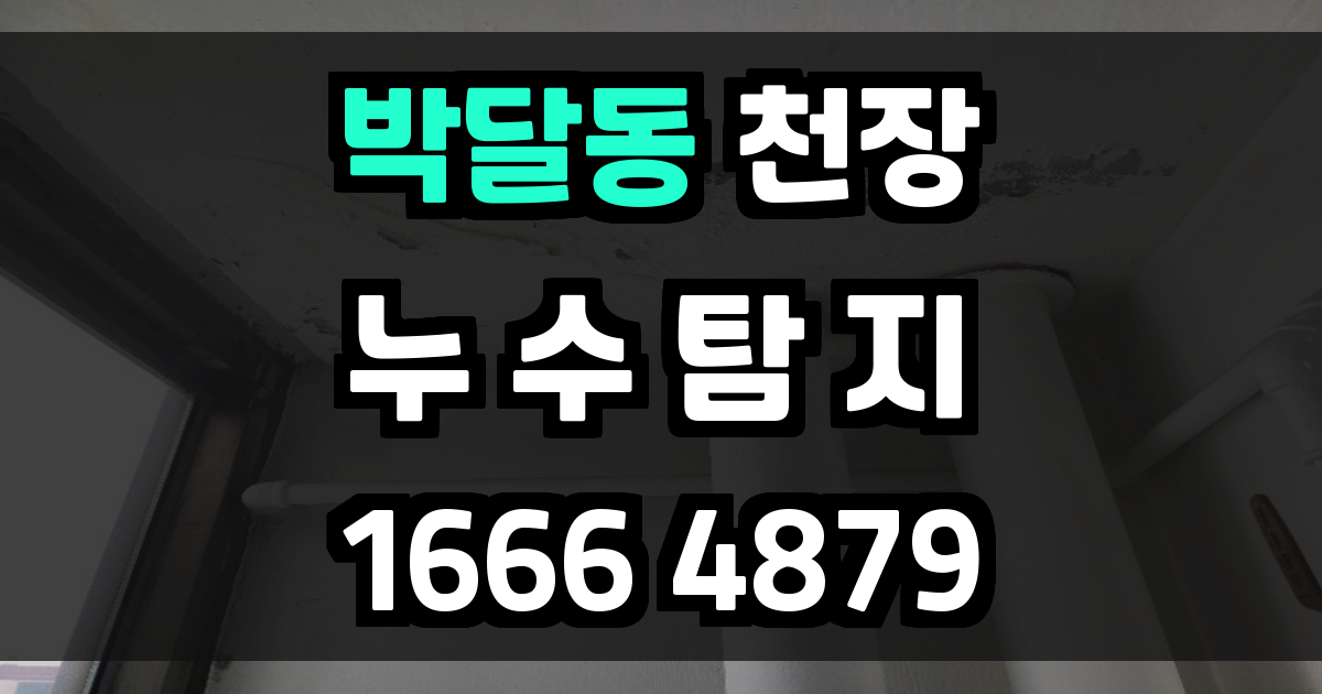 박달동 천장 누수