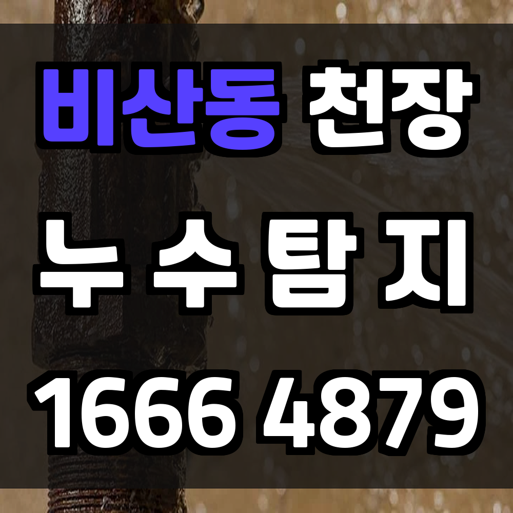 비산동 천장 누수탐지 곰팡이 재발 차단을 위한 원인 분해 점검
