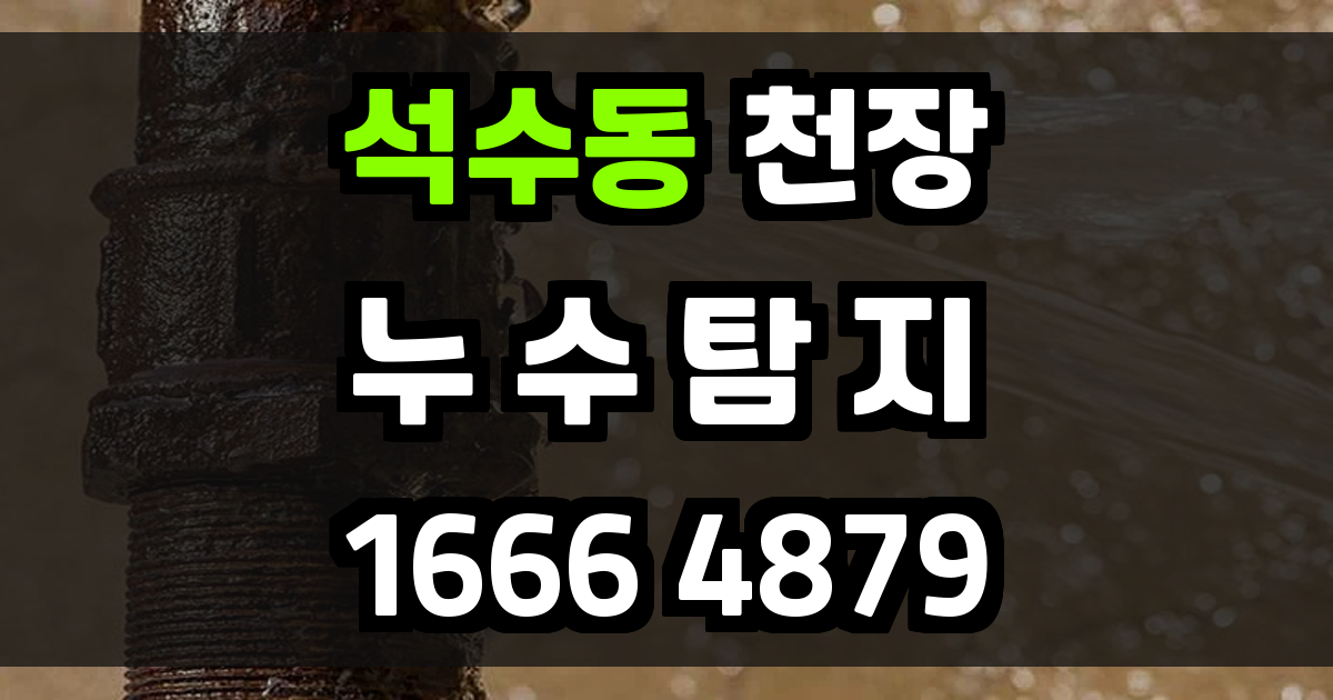 석수동 천장 누수
