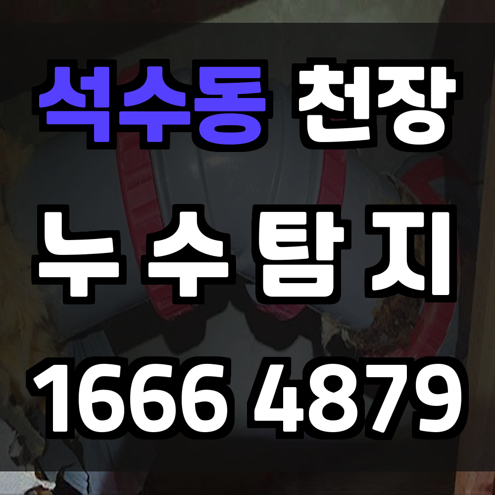 석수동 천장 누수탐지 안양천 인접 주거 맞춤 누수 동선 점검