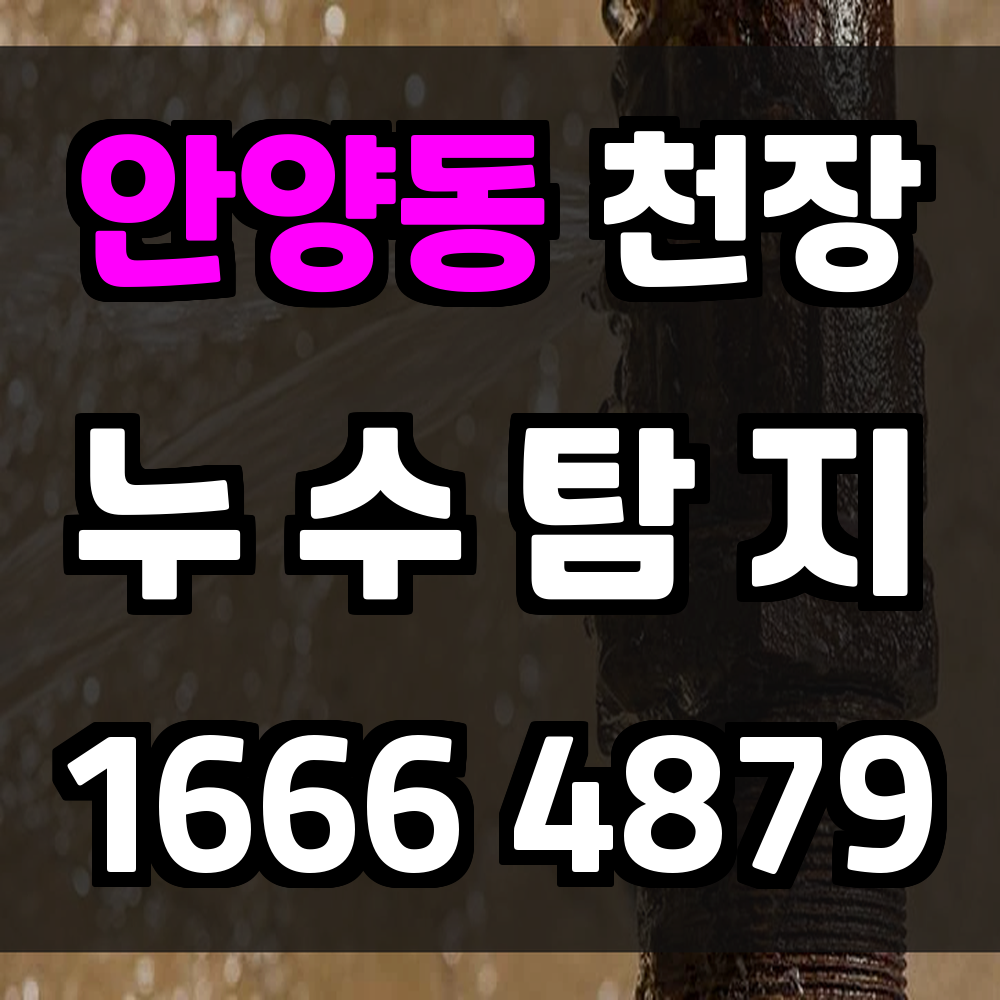 안양동 천장 누수탐지 구도심 혼합 구조에 맞춘 단계별 개구 설계