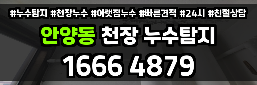 안양동 천장 누수