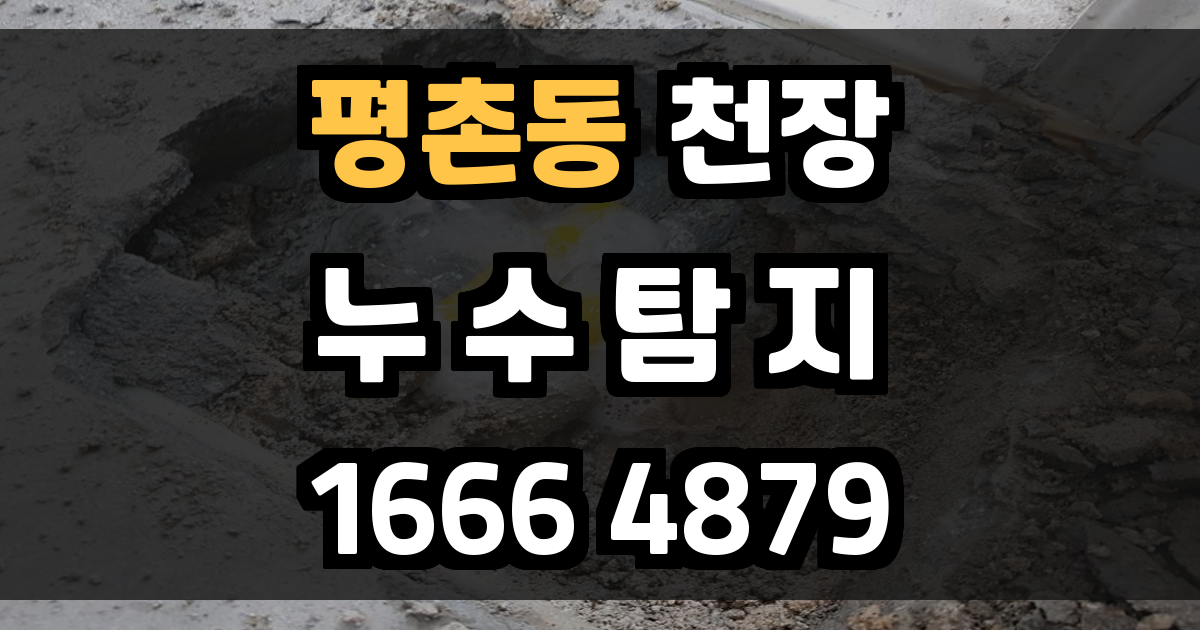 평촌동 천장 누수
