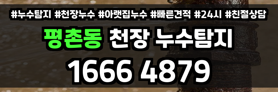 평촌동 천장 누수