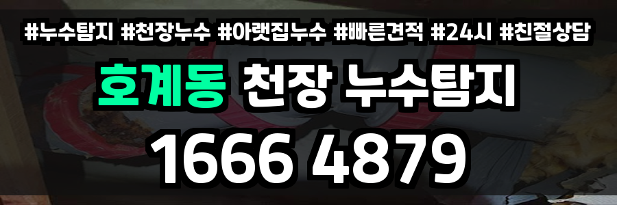 호계동 천장누수