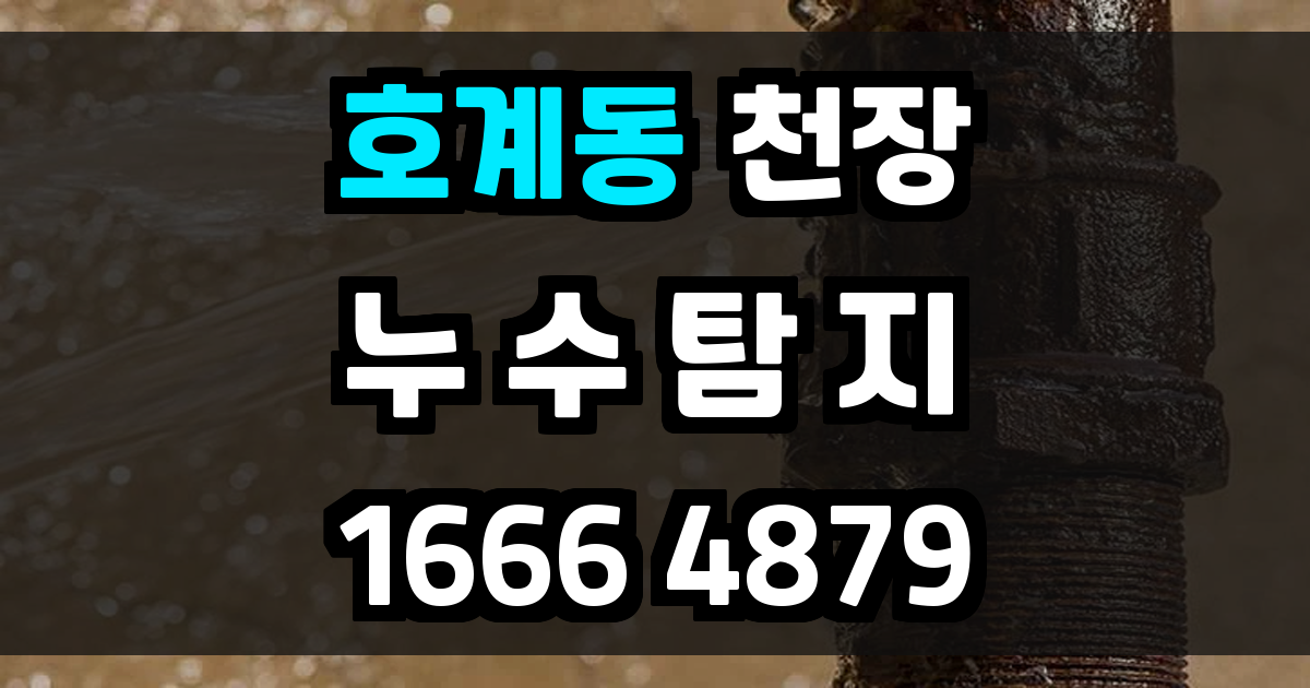 호계동 천장누수