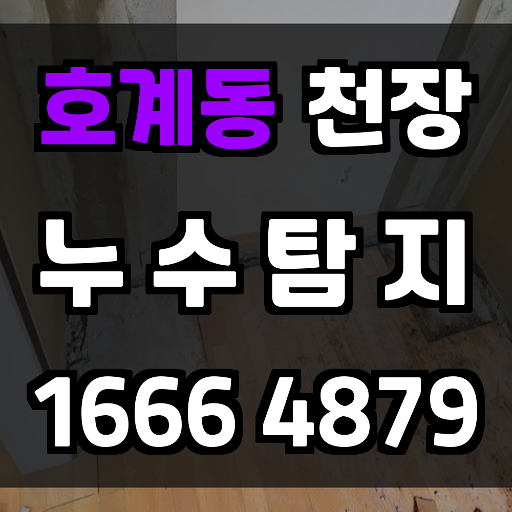 호계동 천장 누수탐지 결로 분리 진단과 단계별 복구 전략