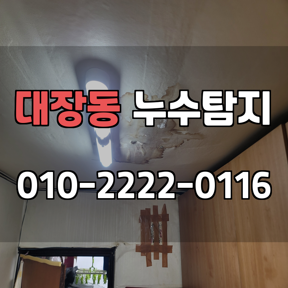 대장동 누수탐지 서비스 지역