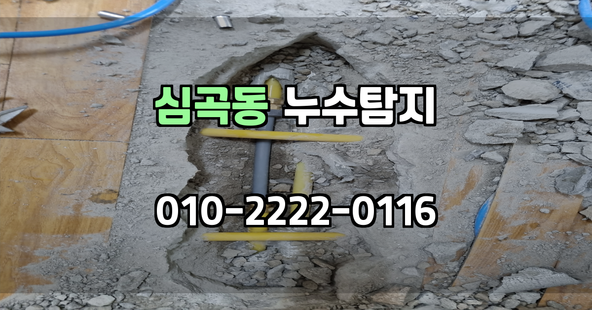 심곡동 누수탐지