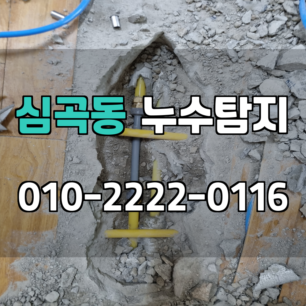 심곡동 누수탐지 서비스 지역