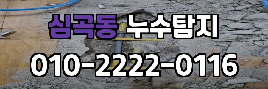심곡동 누수탐지 비용