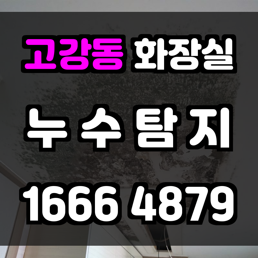 고강동 화장실 누수