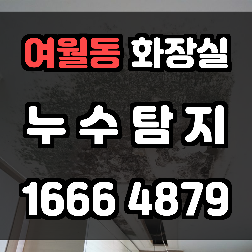 여월동 화장실 누수