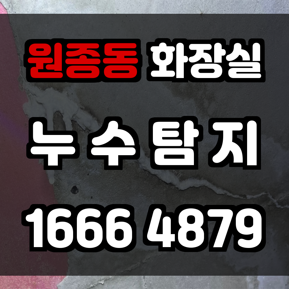원종동 화장실 누수탐지 다양한 주택 유형에 맞춘 비파괴 탐지 서비스
