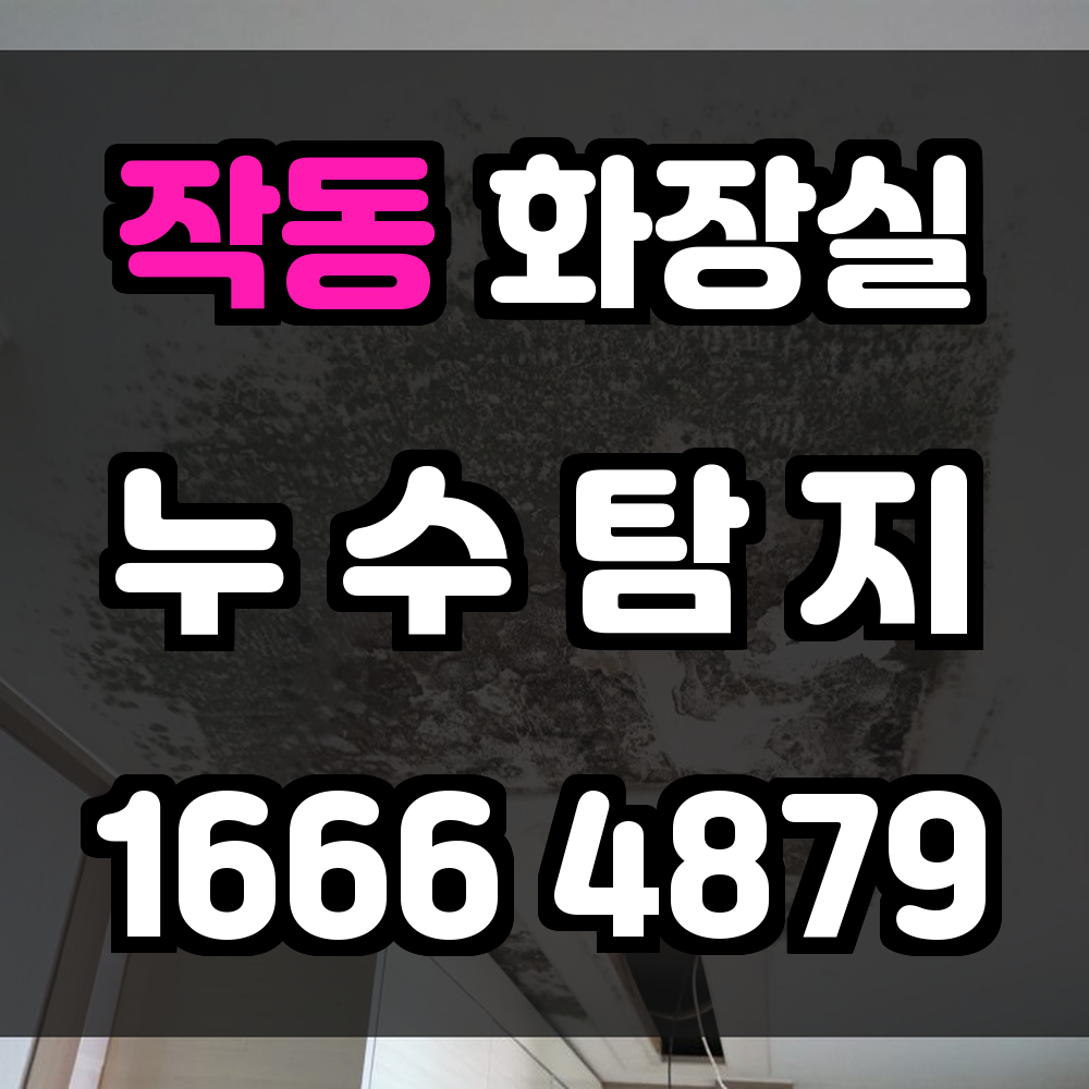 작동 화장실 누수탐지 노후 주택에 최적화된 정밀 탐지 솔루션
