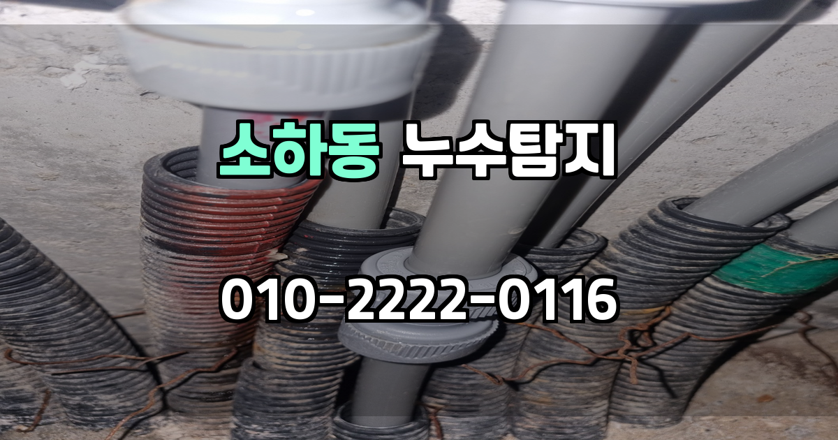 소하동 누수탐지