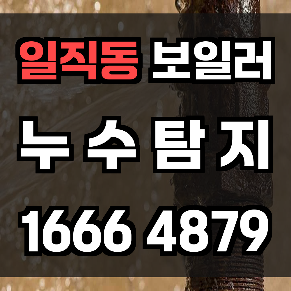 일직동 보일러 누수탐지 전문가가 정밀하게 점검해드립니다