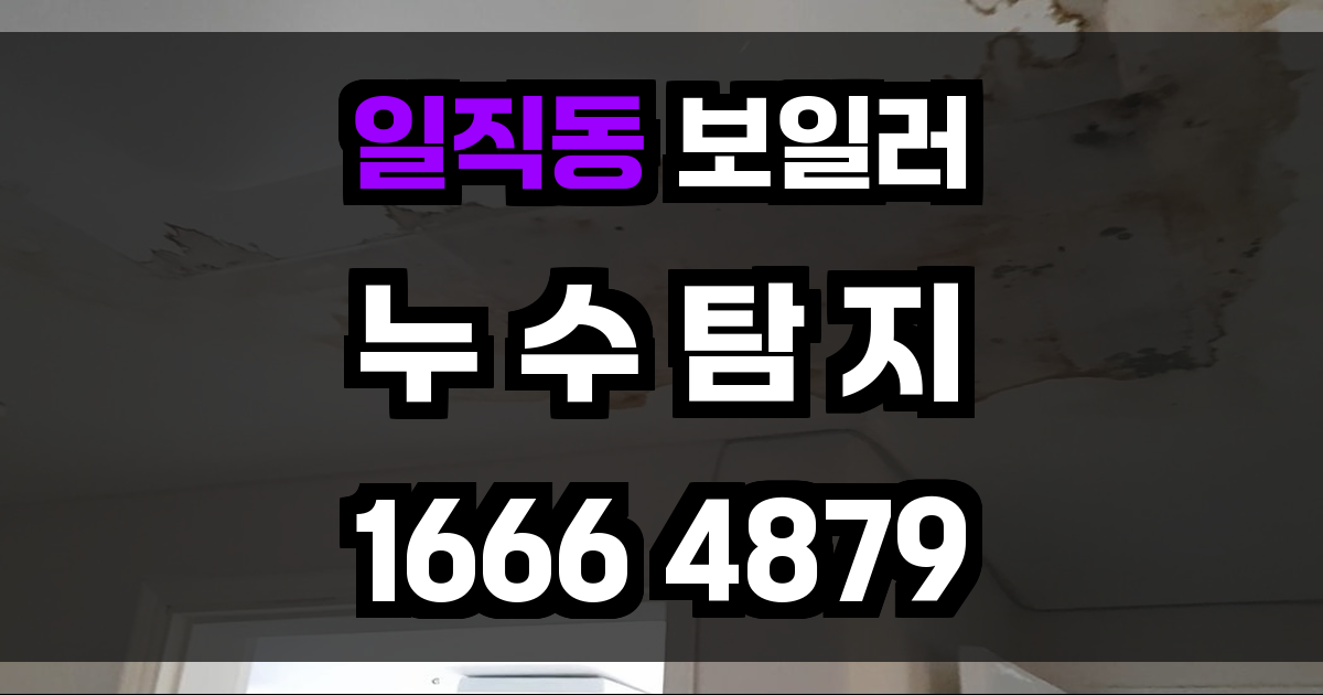 일직동 보일러 누수