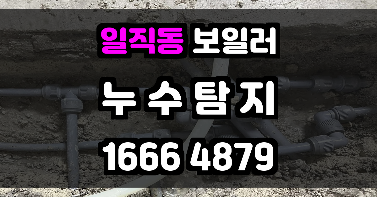 일직동 보일러 누수